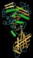 Non-obviousness of Biotech Inventions in USA