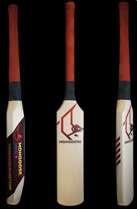 Cricket – A Batsman’s Game (Mangoose Bat Patent)