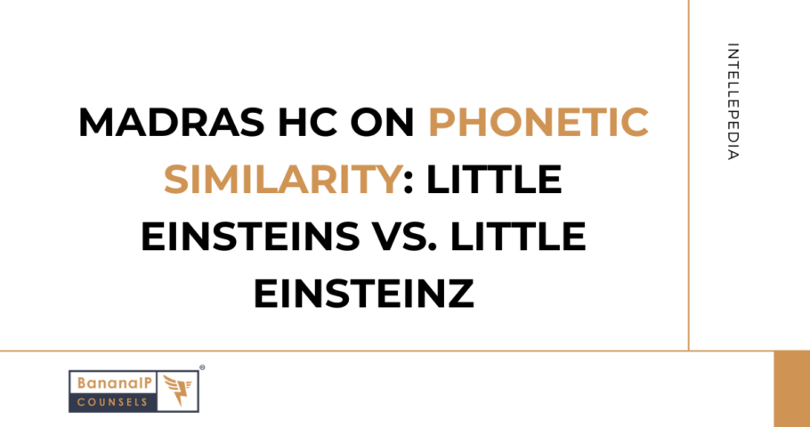 Image accompanying blogpost on "Madras HC on Phonetic Similarity: Little Einsteins vs. Little Einsteinz"