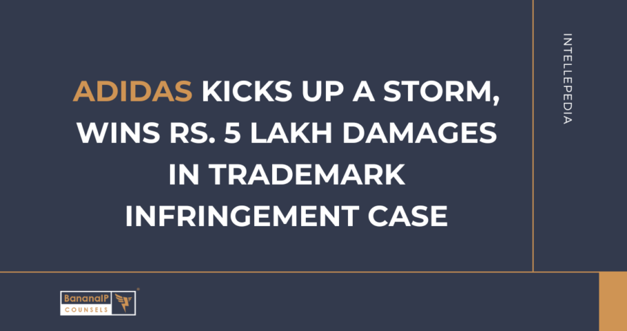 ADIDAS kicks up a storm, wins Rs. 5 lakh Damages in Trademark infringement case