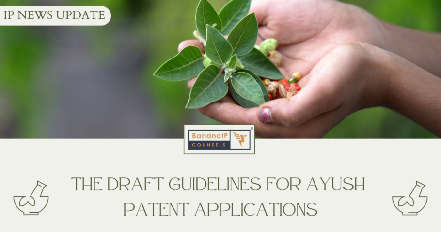 Image accompanying blogpost on "The Draft guidelines for AYUSH Patent Applications"