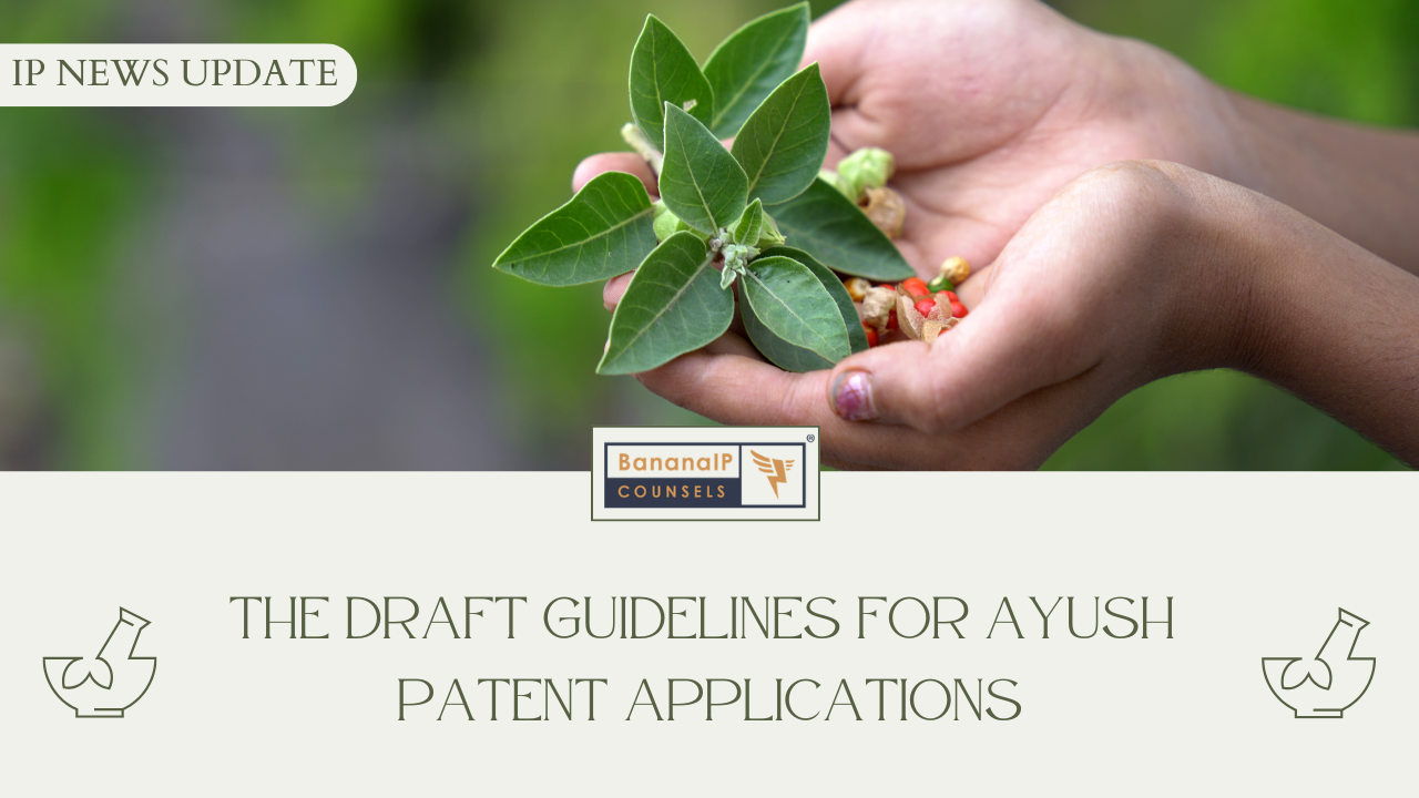 Image accompanying blogpost on "The Draft guidelines for AYUSH Patent Applications"